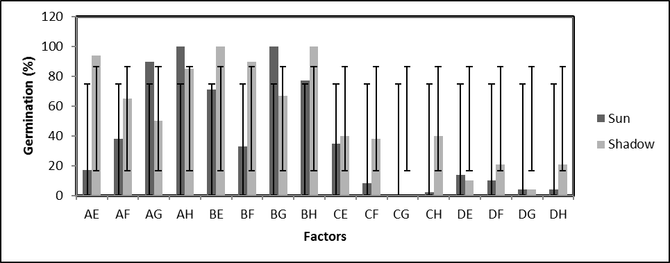 Germination of seeds from H. chrysantha