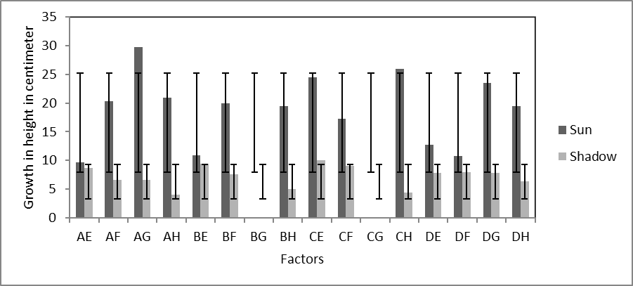Average growth in height (cm) of H. chrysantha  seedlings by light condition.