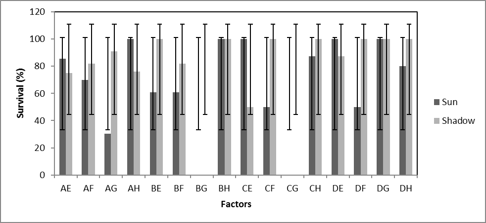 Survival of H. chrysantha seedlings by light condition.