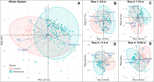 The first two axes of a principal component (PC) analysis for all combinations of physicochemical parameters for all system (A) and by each row of the position of the piezometers (B, C, D, and E).