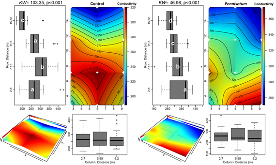 Spatial variation of electrical conductivity of water within the systems (Control and Pennisetum) based on bilinear interpolations between piezometers. Colour gradient and contour lines indicate parameter intensity from low (blue) to high (red), and white crosses indicate the position of piezometers. Boxplots show the comparison between rows and columns of the piezometers position where box marks Q1 and Q3, the black line is median (Q2), lines shown maximum and minimum values, and circles are values outliers with three times greater than the mean. Subplot with colour gradient indicate flow direction in y axis. KW: Krukall-Wallis; p: probability; equal letters indicate no statistically significant difference between the position of the piezometers in rows (Bonferroni, p>0,05).