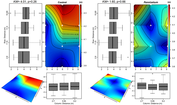 Spatial variation of the DO within the systems (Control and Pennisetum) based on bilinear interpolations between the piezometers. See legend explanation in Fig. 4.
