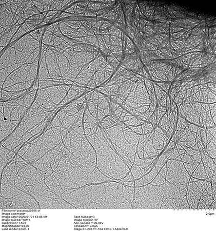 Nanofibras de rastrojo de pia