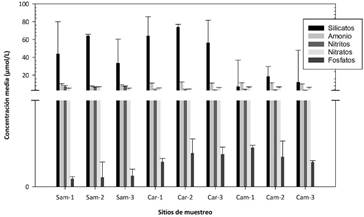 Concentraci�n media de nutrimentos para cada punto de muestreo de las playas en estudio
