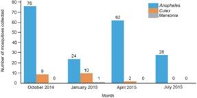 Relative abundance of mosquitoes collected in Malete.