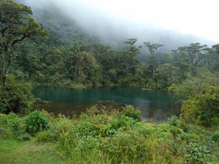Laguna Pozo Verde in July 2019: looking northwest across the lake from near the southeastern shore. S. Horn.