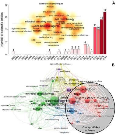 A) The number of scientific articles about bacterial antibiotic resistance in forests, 1993-2020 (n = 71). Word cloud is the analysis of the frequency of the keywords of all the articles with co-occurrences greater than three words. B) Network analyses keywords of all the scientific articles with co-occurrences greater than three words