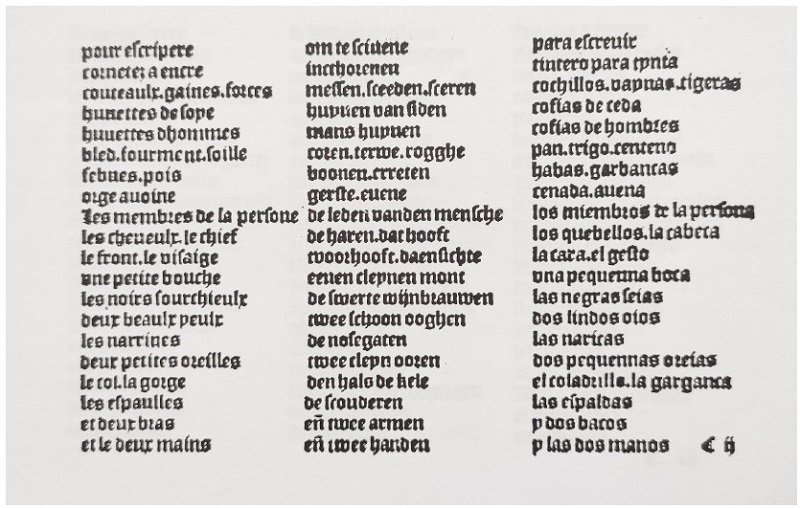 Enumeración léxica (partes del cuerpo) en tres lenguas.