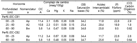 Análisis químico - Perfil JDC-CB1 Perfil JDC-CB2