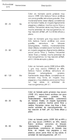 Morfología Perfil
JDC-CB1, Perfil JDC-CB2