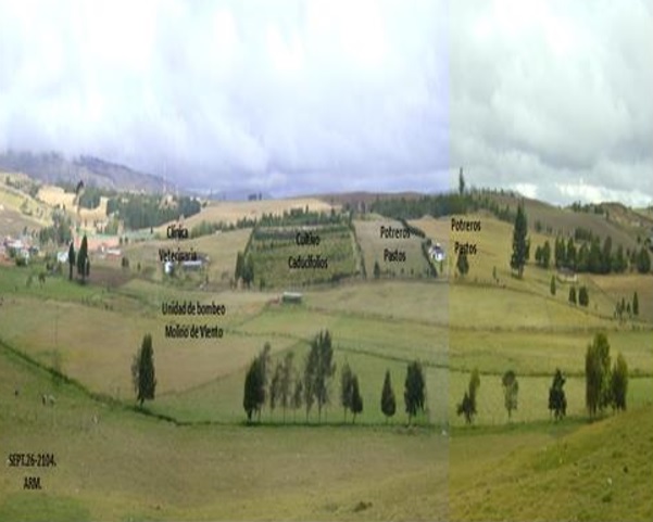 Panorámica de
la granja San Francisco de Asís