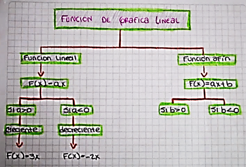 Ejercicio categor&iacute;a D1