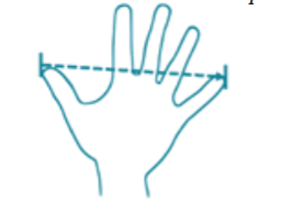 Figura 1. La cuarta como unidad de medida para la longitud.