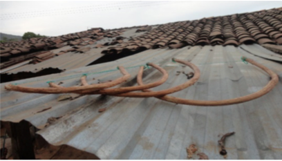 Figura 7. Los trozos amarrados se ponen a secar.