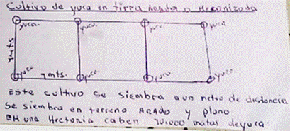 Figura 18. Medidas usadas en la construcci&oacute;n de un rosa (explicaci&oacute;n de P8).