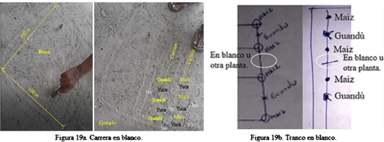 Figura 19. Tipos de rosa y medidas.