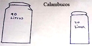 Figura 21. Unidad de medida usada por P8 en la producci&oacute;n de leche.