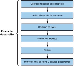 Proceso de construcci�n del Cuestionario de Competencias Socioemocionales (CCSE-P)
