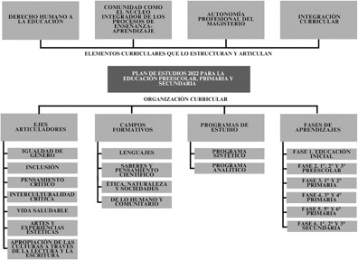 Elementos y organizaci�n curricular del Plan de Estudios 2022