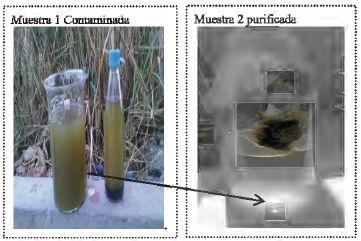 Resultado de la purificaci&oacute;n del agua