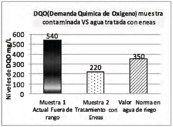 Los niveles en DQO del efluente pueden salir muy elevado
y con el uso del sistema de purificaci&oacute;n con eneas logra estabilizar e incluso supera los valores exigidos seg&uacute;n
Normas en aguas destinadas al riego