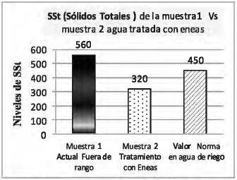 Los niveles de SSt
del efluente pueden salir muy elevado y con el uso del sistema de purificaci&oacute;n
con eneas logra estabilizar e incluso supera los valores exigidos seg&uacute;n Normas
en aguas destinadas al riego.