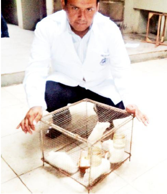 Investigador (Dr. Juan Luis Rodr&iacute;guez Vega)
con el lote de ratas para ser evaluados por histopatolog&iacute;a