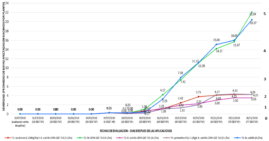  Severidad de la
pudrici&oacute;n &aacute;cida de la vid bajo 5 tratamientos evaluados en diferentes estados fenol&oacute;gicos
del cultivo. 

 