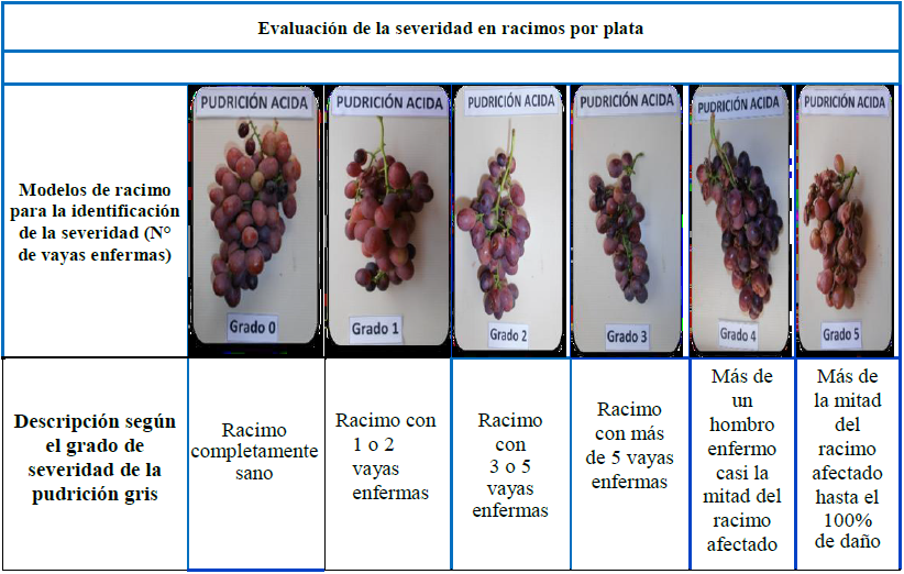 Par&aacute;metros de evaluaci&oacute;n seg&uacute;n la severidad de las
enfermedades.