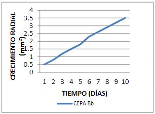 Crecimiento radial de B. bassiana (concentracin 108 conidias / ml) sobre medio PDA, durante 10 das de incubacin.