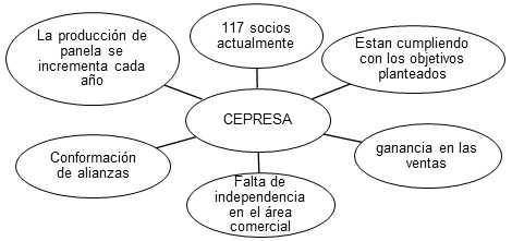 Situaci&oacute;n
actual de la Asociaci&oacute;n CEPRESA