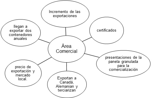 Situaci&oacute;n Actual del &aacute;rea de Comercio de la Asociaci&oacute;n
CEPRESA