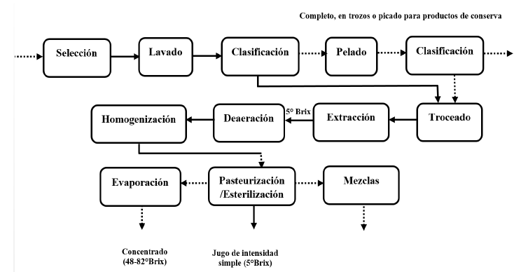 Diagr ama de manufactura de la producci&oacute;n de tomate.