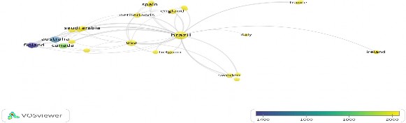 Colaboração entre autores brasileiros e autores de outros países na produção de artigos