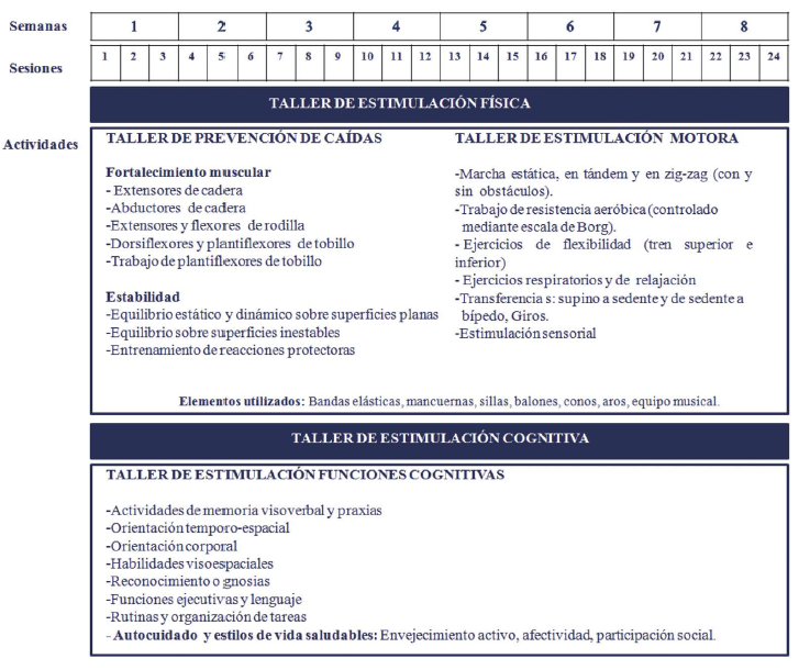 Talleres y actividades desarrolladas en el programa de estimulación físico-cognitiva.