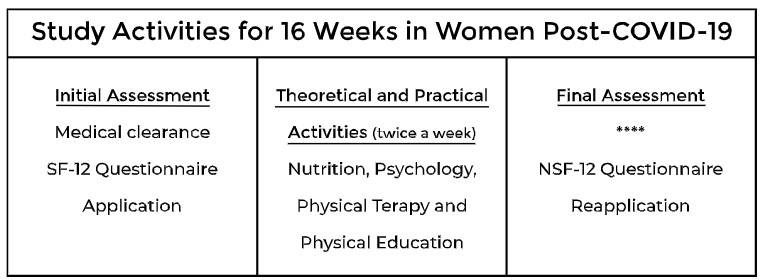 Experimental design of the present study.