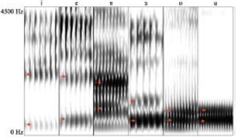 Producci&oacute;n de timbres voc&aacute;licos en voz masculina del lacand&oacute;n del sur
