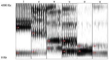 Producci&oacute;n de timbres voc&aacute;licos en voz femenina del lacand&oacute;n del sur