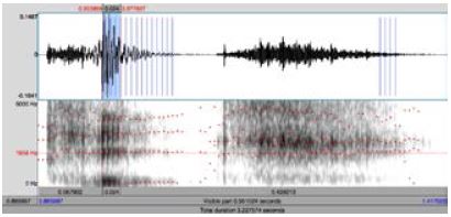 Porci&oacute;n voc&aacute;lica a partir de la cual se obtuvieron las medidas del F1, F2 y F3 de forma semi-manual