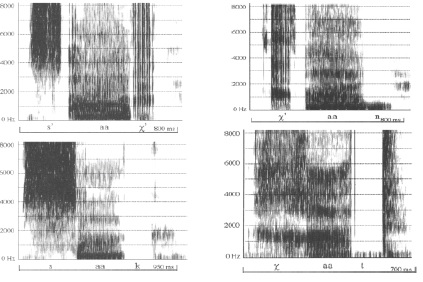 Fricativas pulmonares y eyectivas en tlingit: algunas diferencias ac&uacute;sticas