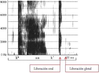 /k&rsquo;/ en posici&oacute;n final de palabra en tlingit: algunos correlatos ac&uacute;sticos