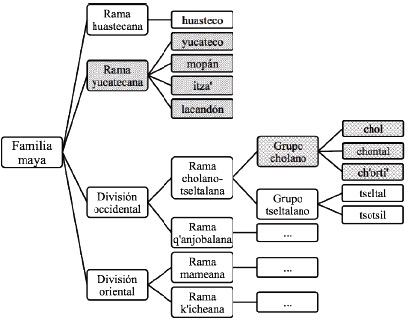 Fragmento de la subdivisión filogenética de la familia maya (a partir de Kaufman 1990: 62-63)