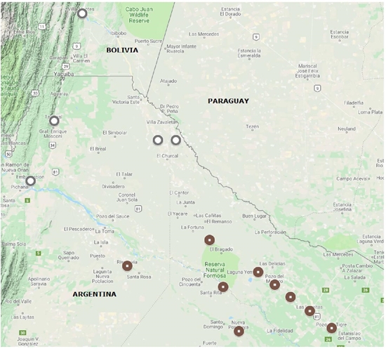 Distribución del objeto de 2a persona en la actualidad: 2OBJ preverbal (gris), 2OBJ posverbal (marrón) 
