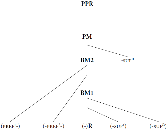 Relaciones morfológicas dentro de la palabra