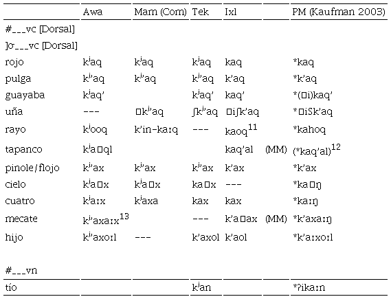 Palatalizaci&oacute;n de oclusivas velares en lenguas MAMeanas (2)