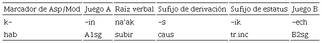 El complejo verbal (con ejemplo y glosa acompa�antes)
