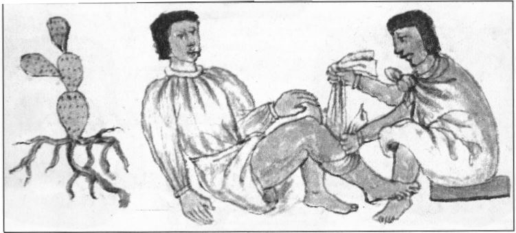 Tepoztecpahtiani, concertador de huesos