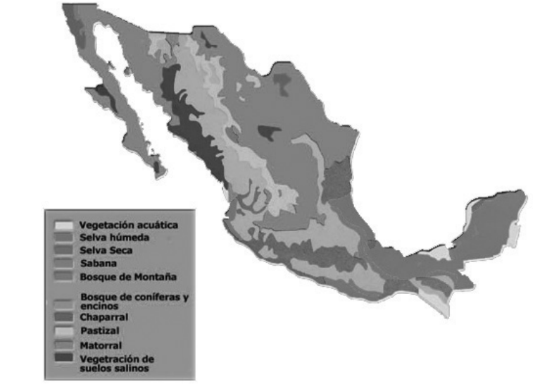 Principales tipos de vegetacin de Mxico [Robles s/a]. Los bosques de pino y encino del norte y centro fueron el hbitat primario del guajolote silvestre, siendo M. gallopavo gallopavo la subespecie que ocupaba el Eje Neovolcnico y de la cual se deriv la forma domstica.