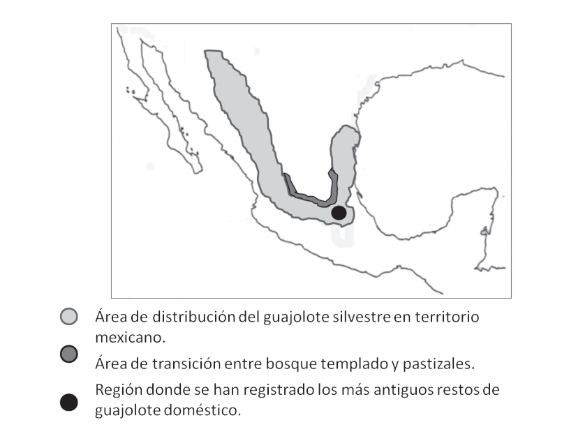 Distribucin probable de Meleagris gallopavo en Mxico hasta el siglo XIX. El espacio gris claro (bosques de pino y encino) es su hbitat primario; la franja gris oscuro es la zona de transicin con otras formas de vegetacin y donde se favorecera la interaccin con las bandas humanas. El crculo negro es la zona con los ms tempranos registros de guajolotes domsticos.