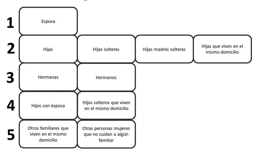 Eleccin del cuidador
